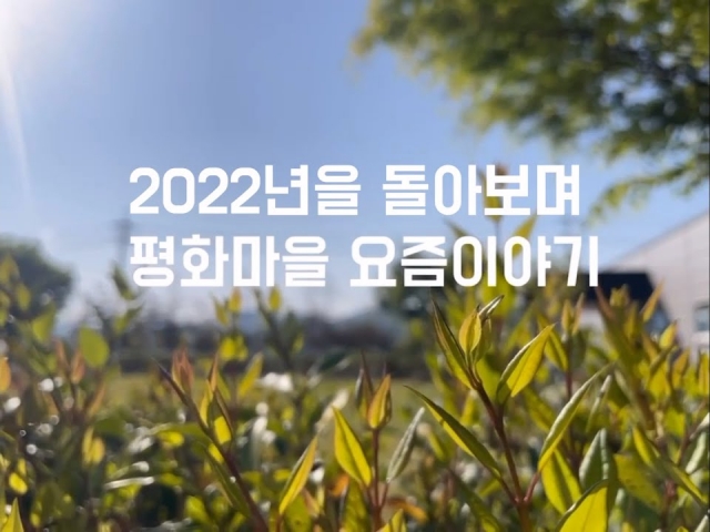 2022 평화마을 이모저모